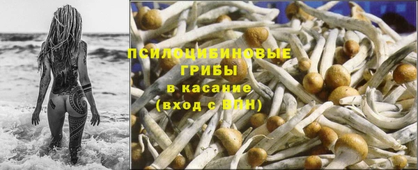 дурь Карпинск