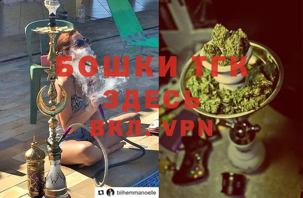 дурь Карпинск